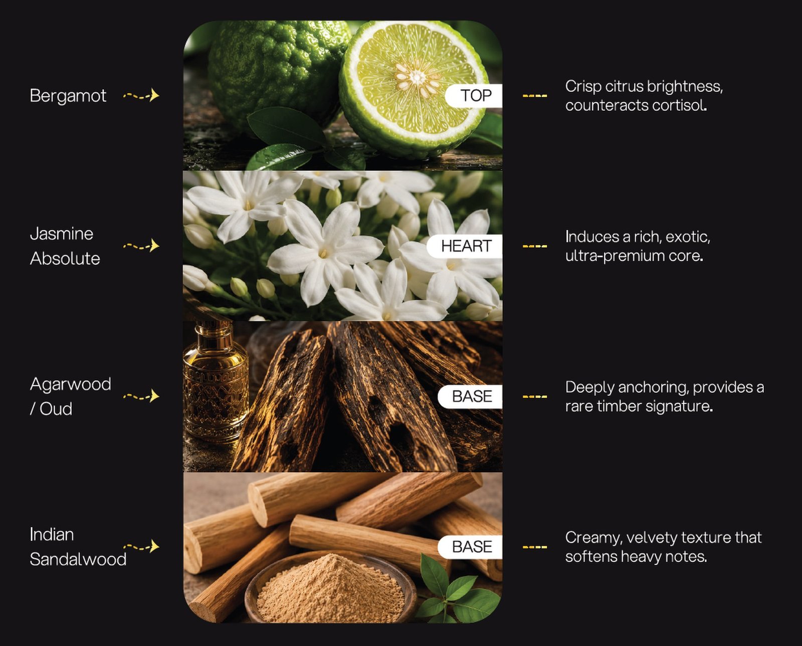 Imperial Oud & Bergamot formulation architecture: Bergamot, Jasmine Absolute, Agarwood / Oud, Indian Sandalwood