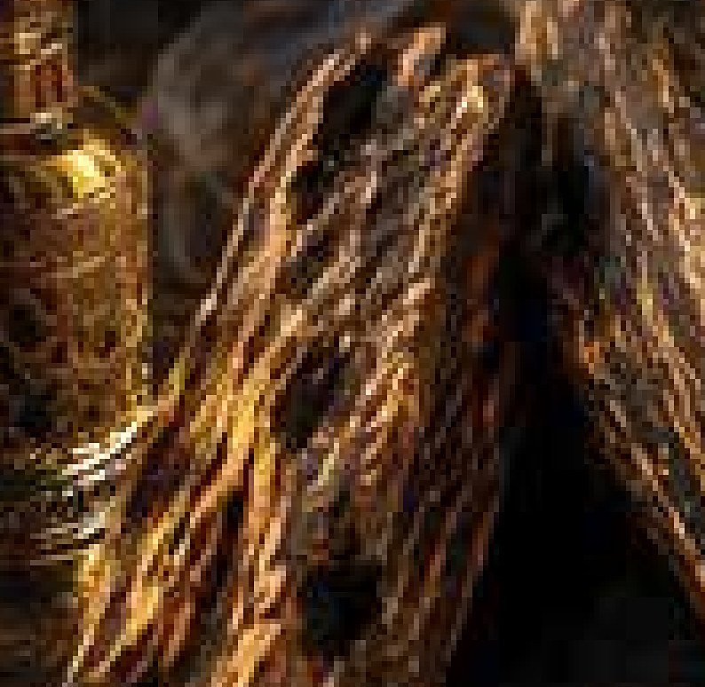 Agarwood / Oud