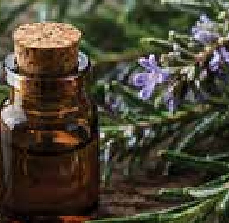 Moroccan Rosemary