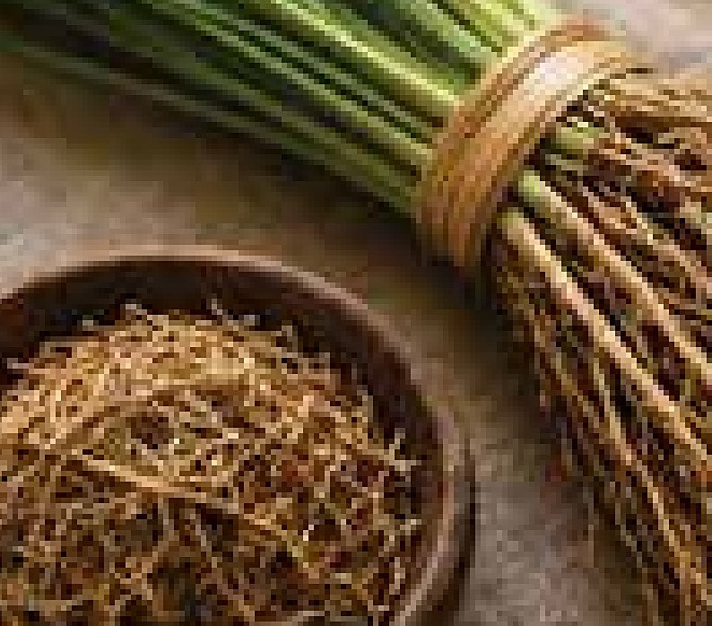 Vetiver