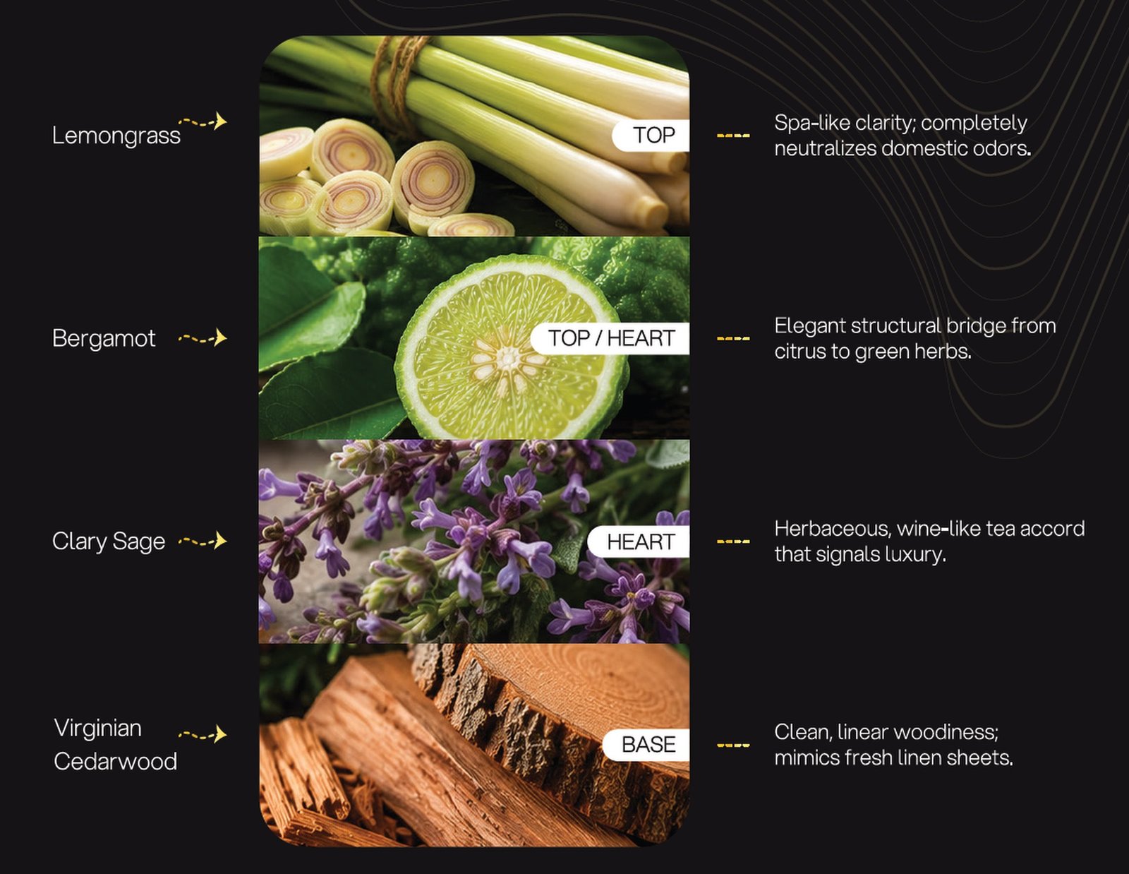The White Tea Estate formulation architecture: Lemongrass, Bergamot, Clary Sage, Virginian Cedarwood