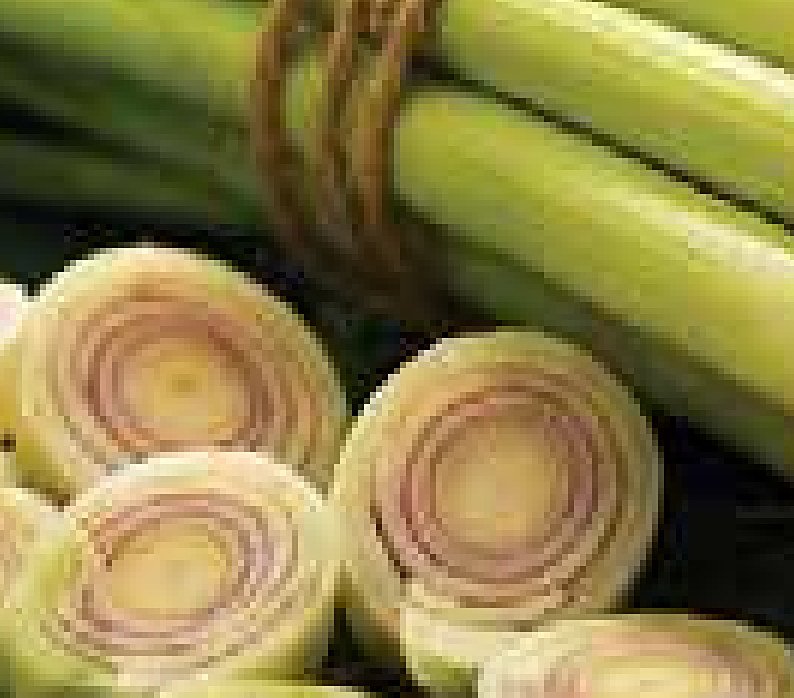 Lemongrass
