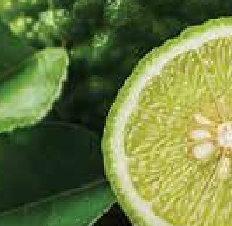Bergamot