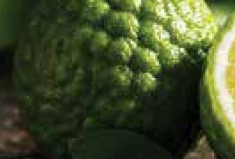Bergamot