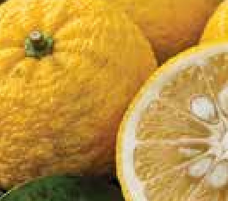 Yuzu