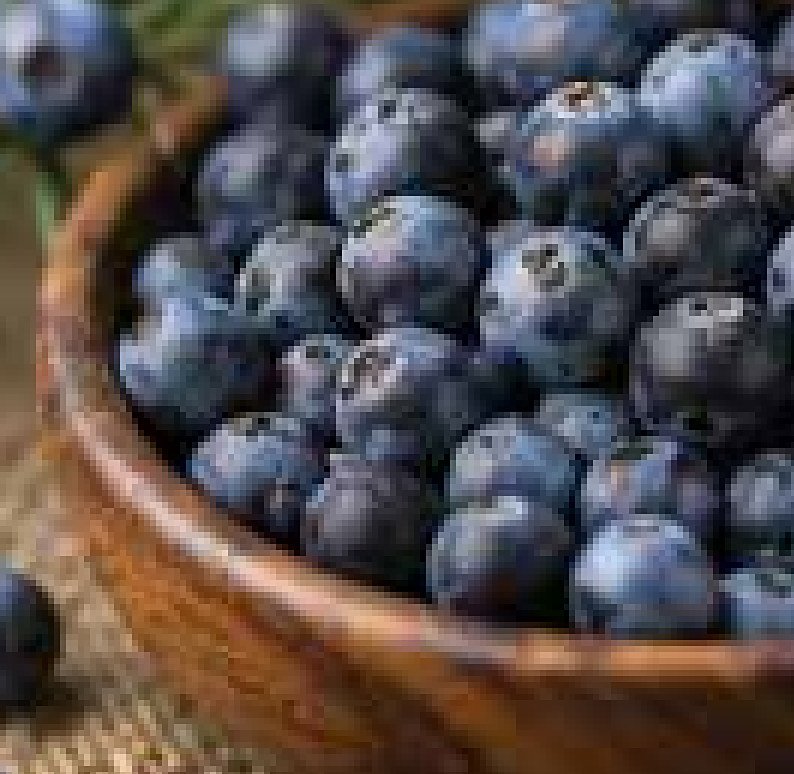 Juniper Berry
