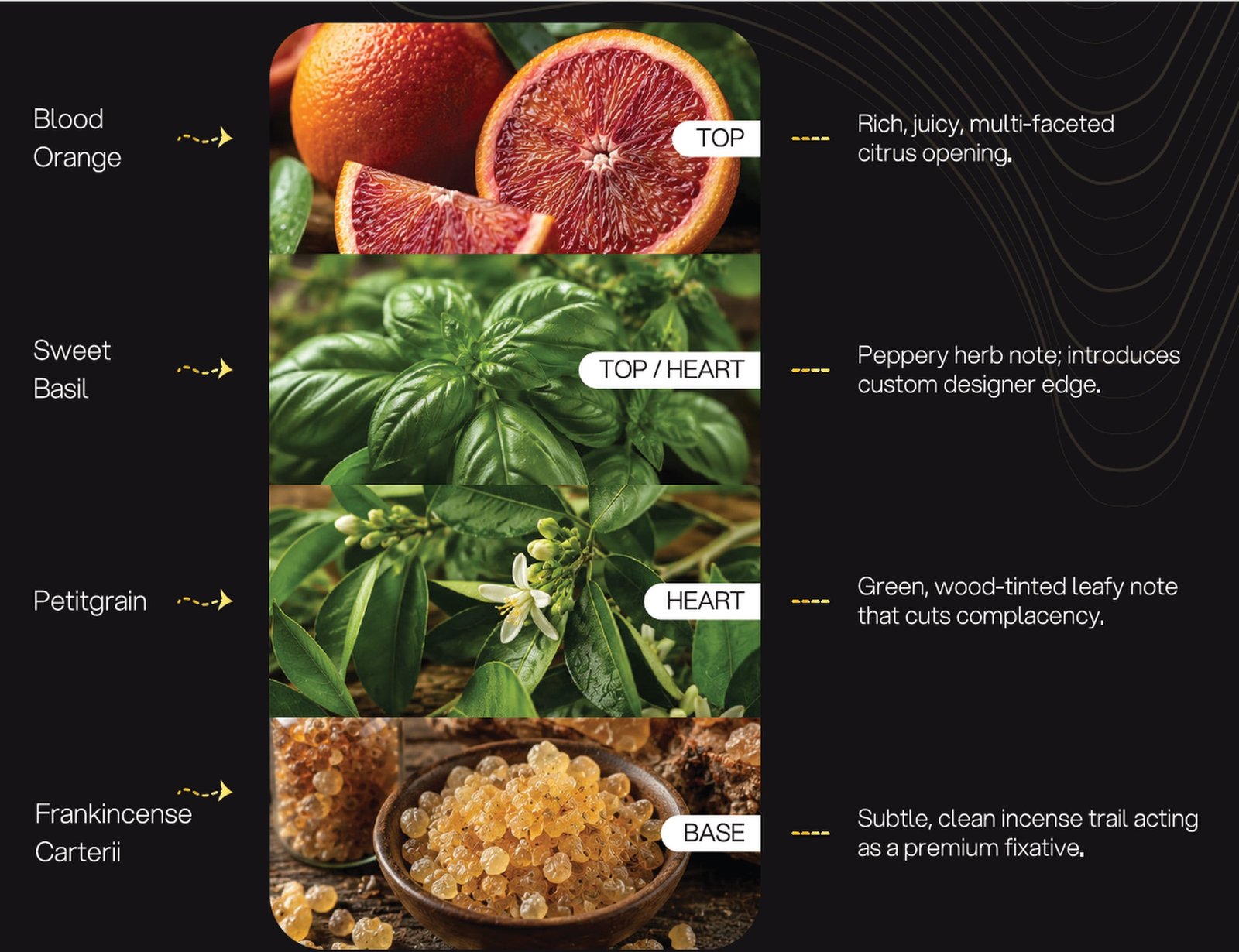 The Mediterranean Orchard formulation architecture: Blood Orange, Sweet Basil, Petitgrain, Frankincense Carterii