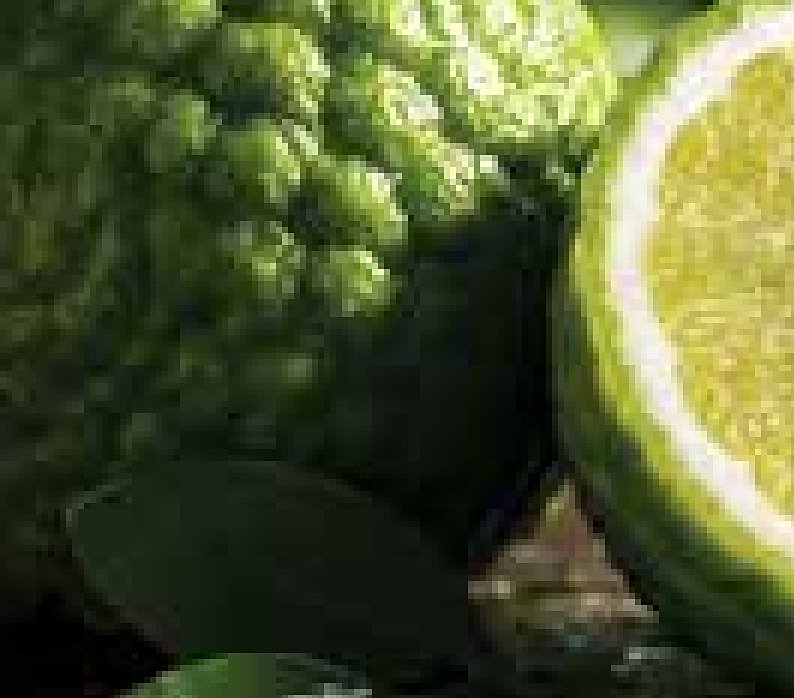 Bergamot