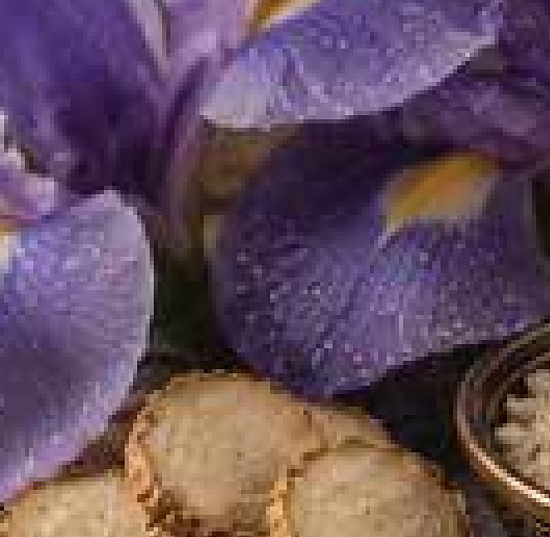 Florentine Iris / Orris Root