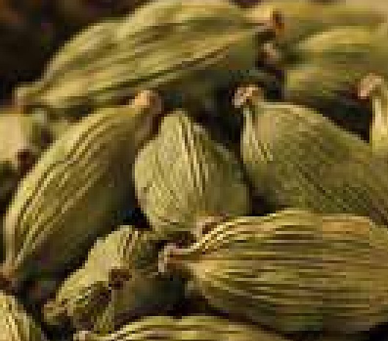 Guatemalan Cardamom