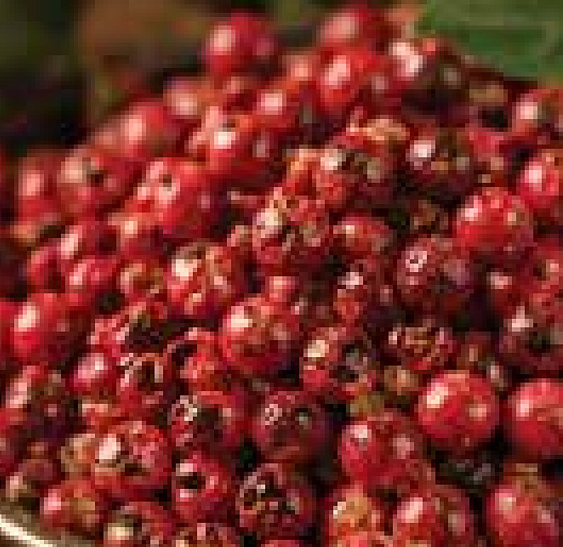 Pink Pepper