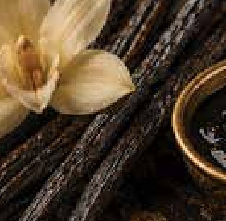 Madagascar Vanilla Absolute